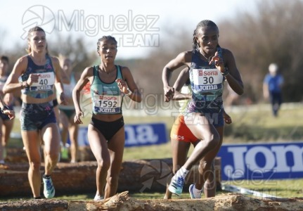 Campeonato de España Clubes Campo a Través (Soria) 2023.