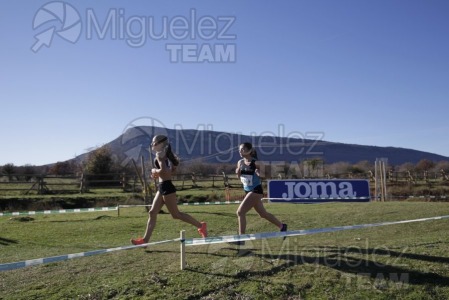 Campeonato de España Clubes Campo a Través (Soria) 2023.