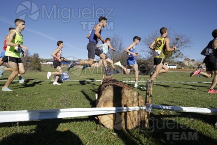 Campeonato de España Clubes Campo a Través (Soria) 2023.