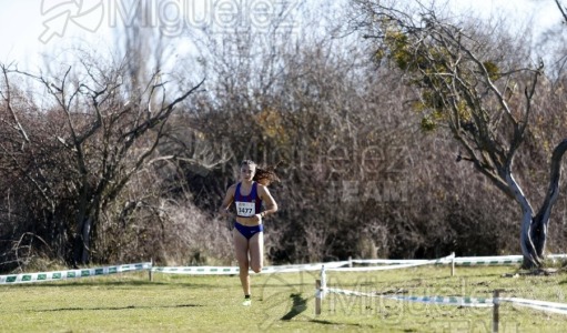 Campeonato de España Clubes Campo a Través (Soria) 2023.