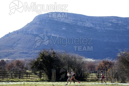 Campeonato de España Clubes Campo a Través (Soria) 2023.