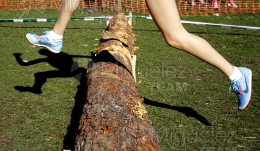 Campeonato de España Clubes Campo a Través (Soria) 2023.