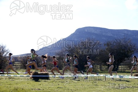 Campeonato de España Clubes Campo a Través (Soria) 2023.