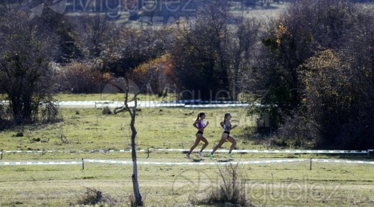 Campeonato de España Clubes Campo a Través (Soria) 2023.