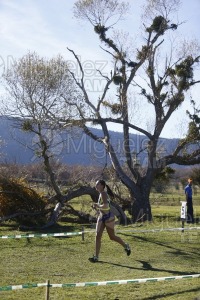 Campeonato de España Clubes Campo a Través (Soria) 2023.