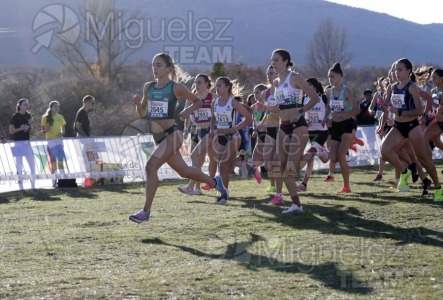 Campeonato de España Clubes Campo a Través (Soria) 2023.