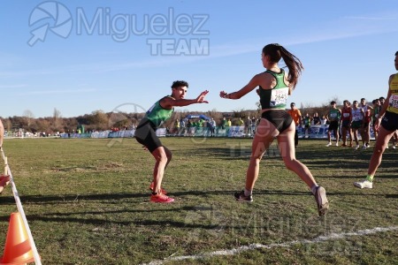 Campeonato de España Clubes Campo a Través (Soria) 2023.