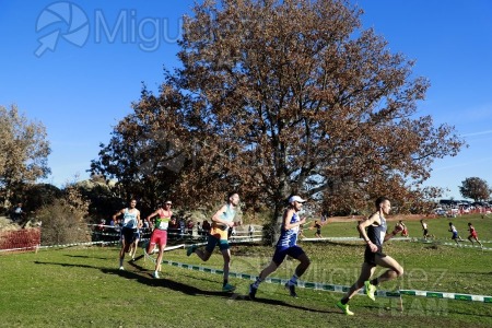 Campeonato de España Clubes Campo a Través (Soria) 2023.