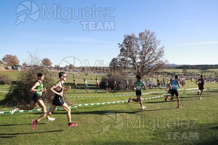 Campeonato de España Clubes Campo a Través (Soria) 2023.