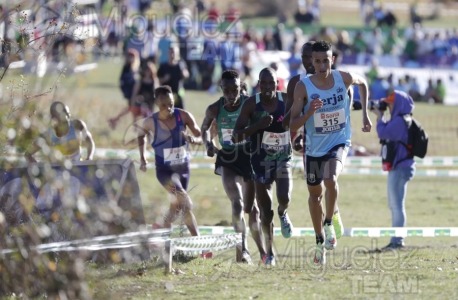 Campeonato de España Clubes Campo a Través (Soria) 2023.