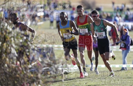 Campeonato de España Clubes Campo a Través (Soria) 2023.