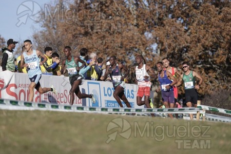 Campeonato de España Clubes Campo a Través (Soria) 2023.