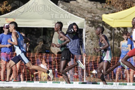 Campeonato de España Clubes Campo a Través (Soria) 2023.