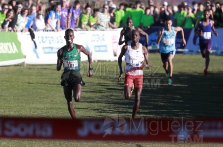 Campeonato de España Clubes Campo a Través (Soria) 2023.