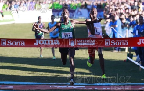 Campeonato de España Clubes Campo a Través (Soria) 2023.