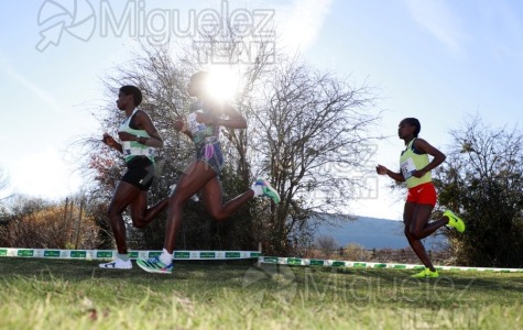 Campeonato de España Clubes Campo a Través (Soria) 2023.