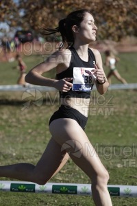 Campeonato de España Clubes Campo a Través (Soria) 2023.