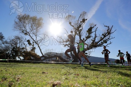 Campeonato de España Clubes Campo a Través (Soria) 2023.