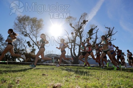 Campeonato de España Clubes Campo a Través (Soria) 2023.