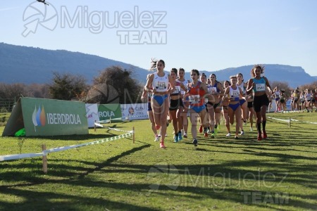 Campeonato de España Clubes Campo a Través (Soria) 2023.