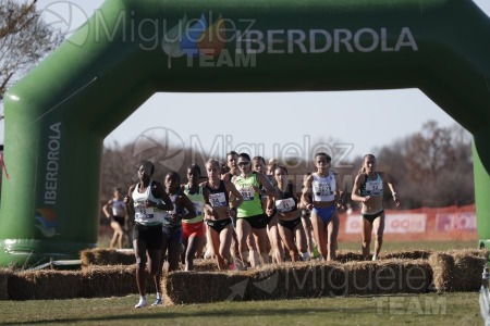 Campeonato de España Clubes Campo a Través (Soria) 2023.