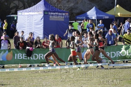 Campeonato de España Clubes Campo a Través (Soria) 2023.