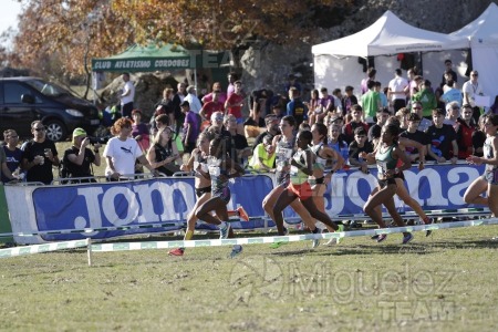 Campeonato de España Clubes Campo a Través (Soria) 2023.