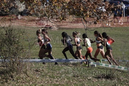 Campeonato de España Clubes Campo a Través (Soria) 2023.