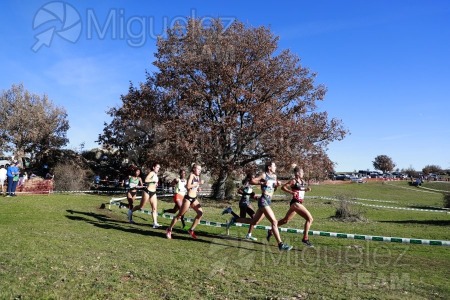 Campeonato de España Clubes Campo a Través (Soria) 2023.