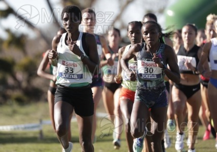 Campeonato de España Clubes Campo a Través (Soria) 2023.