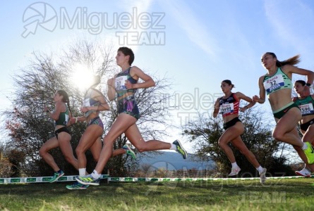 Campeonato de España Clubes Campo a Través (Soria) 2023.