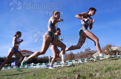 Campeonato de España Clubes Campo a Través (Soria) 2023.