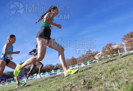 Campeonato de España Clubes Campo a Través (Soria) 2023.