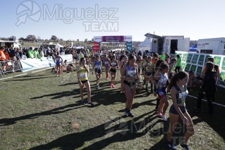 Campeonato de España Clubes Campo a Través (Soria) 2023.