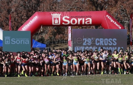 Campeonato de España Clubes Campo a Través (Soria) 2023.