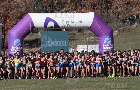 Campeonato de España Clubes Campo a Través (Soria) 2023.