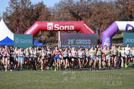 Campeonato de España Clubes Campo a Través (Soria) 2023.