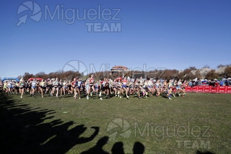 Campeonato de España Clubes Campo a Través (Soria) 2023.