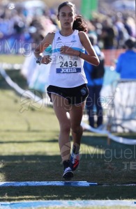 Campeonato de España Clubes Campo a Través (Soria) 2023.