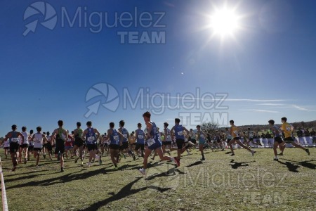 Campeonato de España Clubes Campo a Través (Soria) 2023.