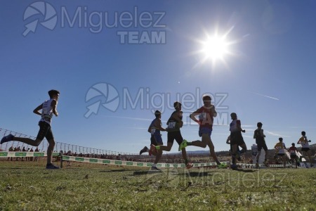 Campeonato de España Clubes Campo a Través (Soria) 2023.