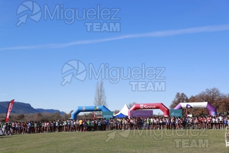 Campeonato de España Clubes Campo a Través (Soria) 2023.