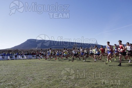 Campeonato de España Clubes Campo a Través (Soria) 2023.