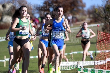 Campeonato de España Clubes Campo a Través (Soria) 2023.