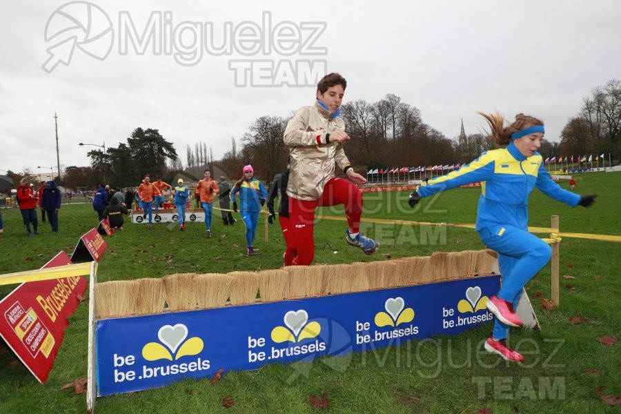 Campeonato de Europa de Campo a Través (Bruselas) 10-12-2023. 