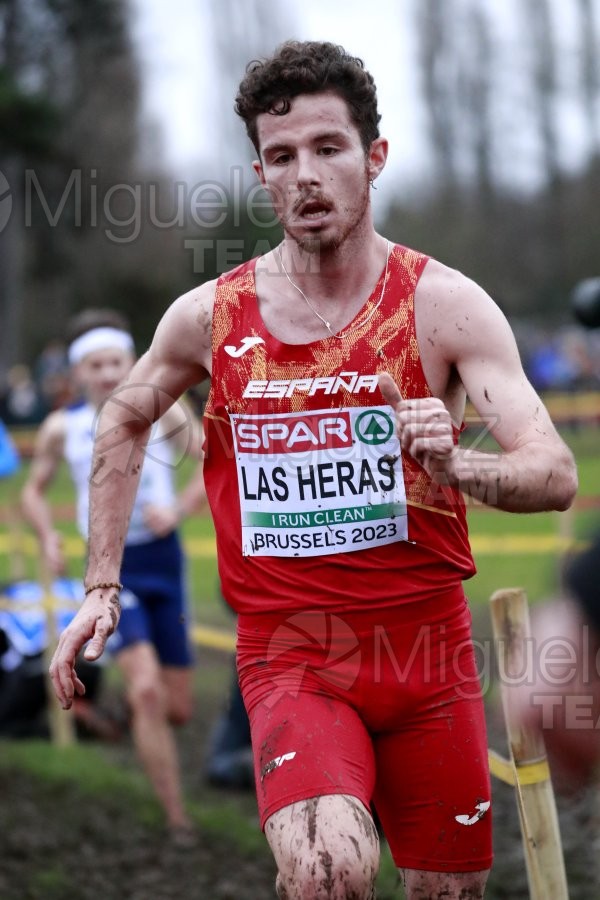 Campeonato de Europa de Campo a Través (Bruselas) 10-12-2023. 