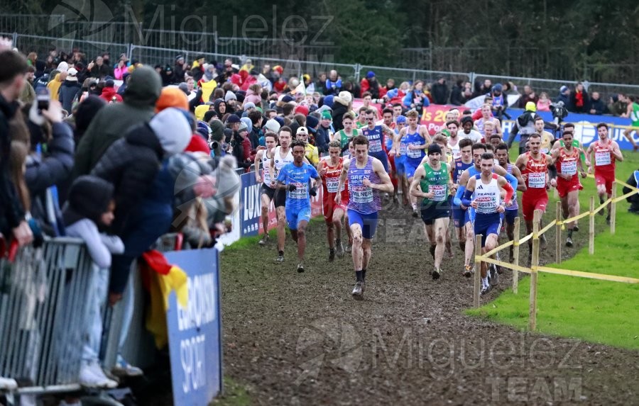 Campeonato de Europa de Campo a Través (Bruselas) 10-12-2023. 