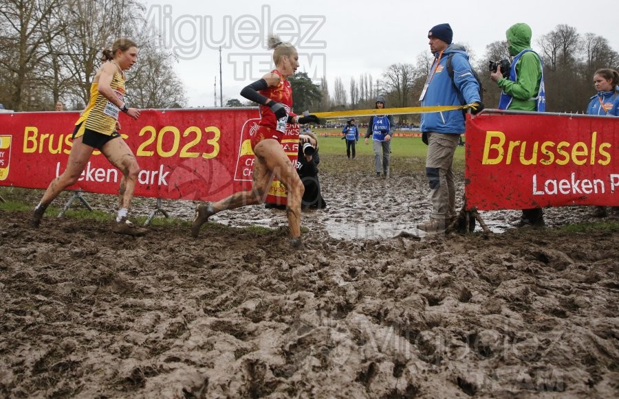 Campeonato de Europa de Campo a Través (Bruselas) 10-12-2023. 