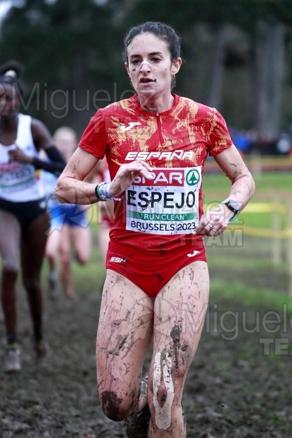 Campeonato de Europa de Campo a Través (Bruselas) 10-12-2023. 