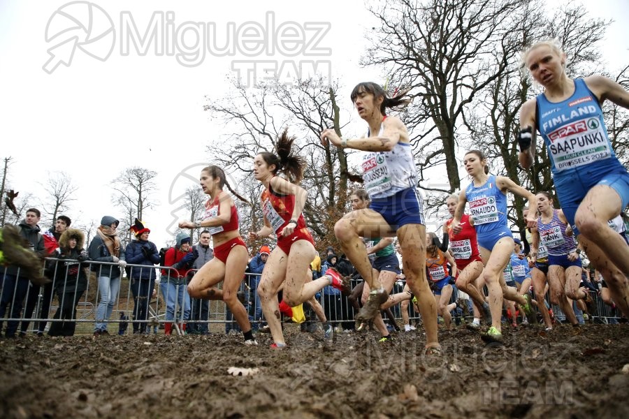 Campeonato de Europa de Campo a Través (Bruselas) 10-12-2023. 